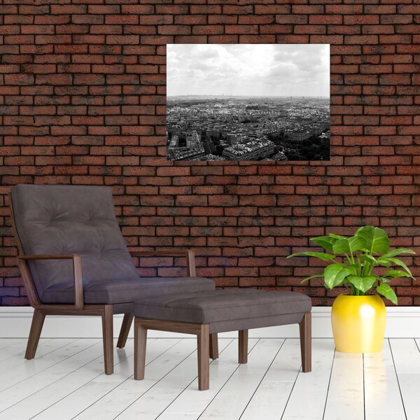 Slika - krovovi kuća u Parizu (70x50 cm)