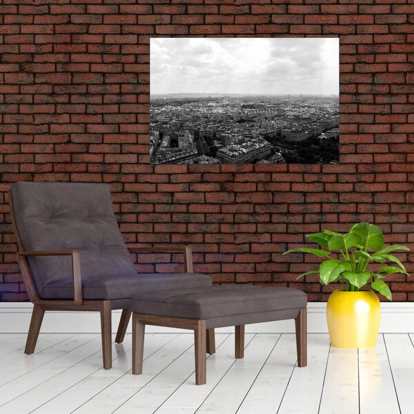 Slika - krovovi kuća u Parizu (90x60 cm)