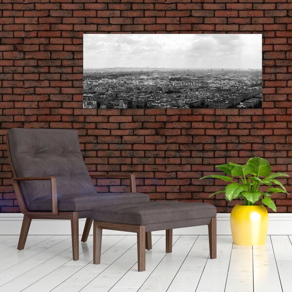 Slika - krovovi kuća u Parizu (120x50 cm)