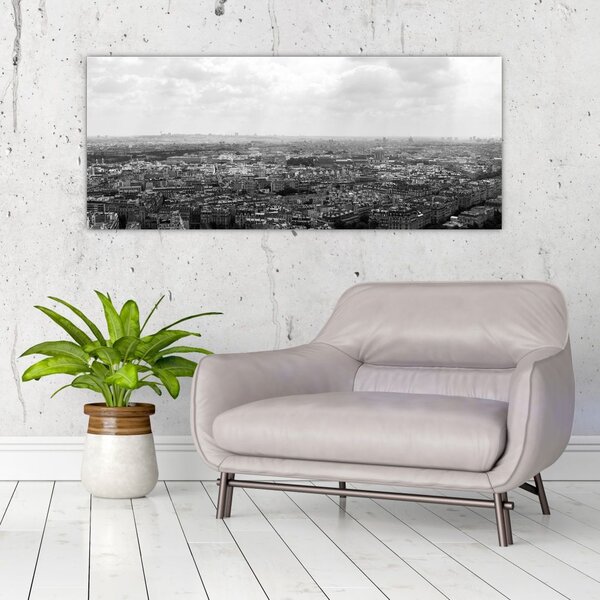 Slika - krovovi kuća u Parizu (120x50 cm)