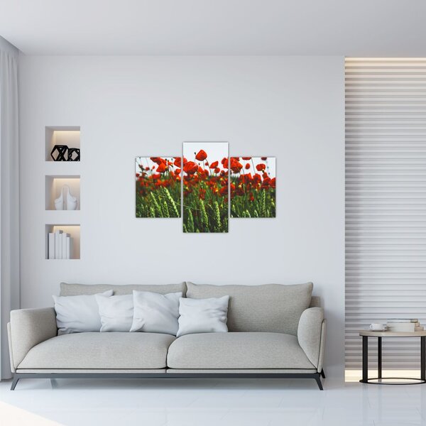 Slika maka na vjetru (90x60 cm)