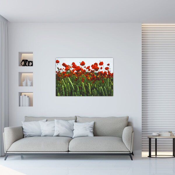 Slika maka na vjetru (90x60 cm)