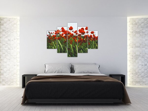 Slika maka na vjetru (150x105 cm)