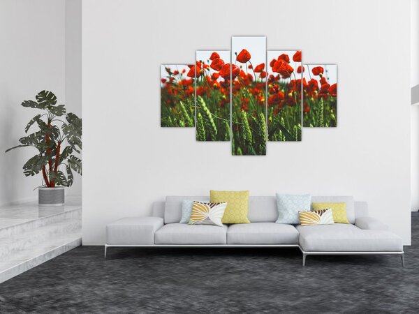 Slika maka na vjetru (150x105 cm)