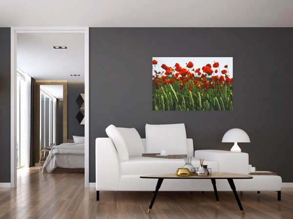 Slika maka na vjetru (90x60 cm)