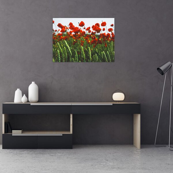 Slika maka na vjetru (70x50 cm)