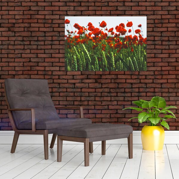 Slika maka na vjetru (90x60 cm)