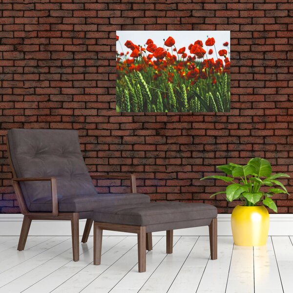 Slika maka na vjetru (70x50 cm)