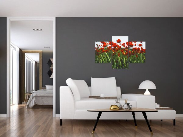 Slika maka na vjetru (90x60 cm)