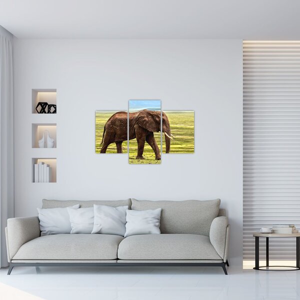 Slika slona (90x60 cm)