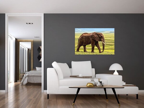 Slika slona (90x60 cm)