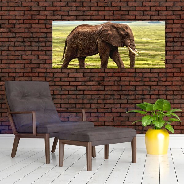 Slika slona (120x50 cm)