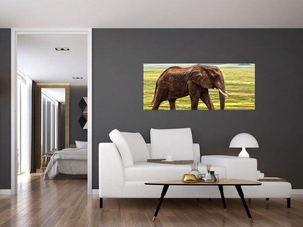 Slika slona (120x50 cm)