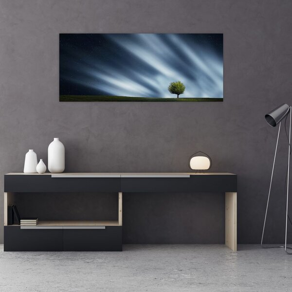 Slika polarne svijetlosti iznad polja vrijeska (120x50 cm)