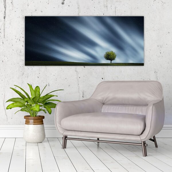 Slika polarne svijetlosti iznad polja vrijeska (120x50 cm)