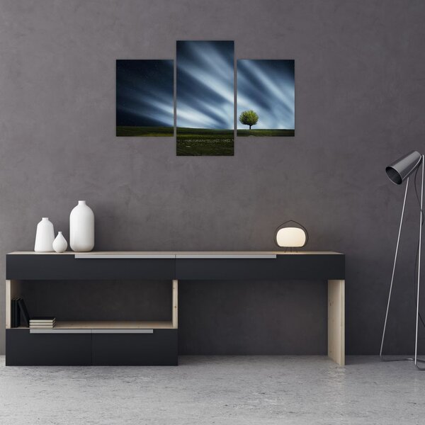Slika polarne svijetlosti iznad polja vrijeska (90x60 cm)
