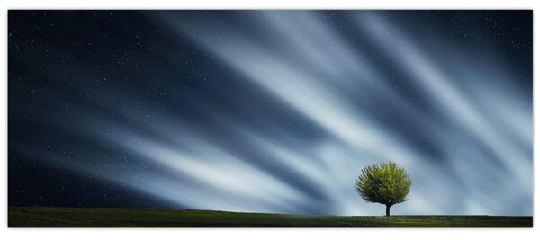 Slika polarne svijetlosti iznad polja vrijeska (120x50 cm)