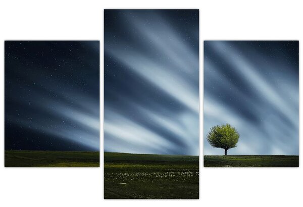 Slika polarne svijetlosti iznad polja vrijeska (90x60 cm)