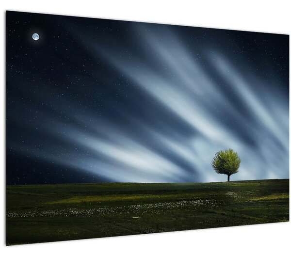Slika polarne svijetlosti iznad polja vrijeska (90x60 cm)