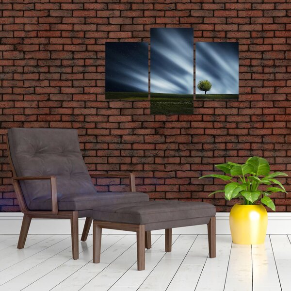 Slika polarne svijetlosti iznad polja vrijeska (90x60 cm)