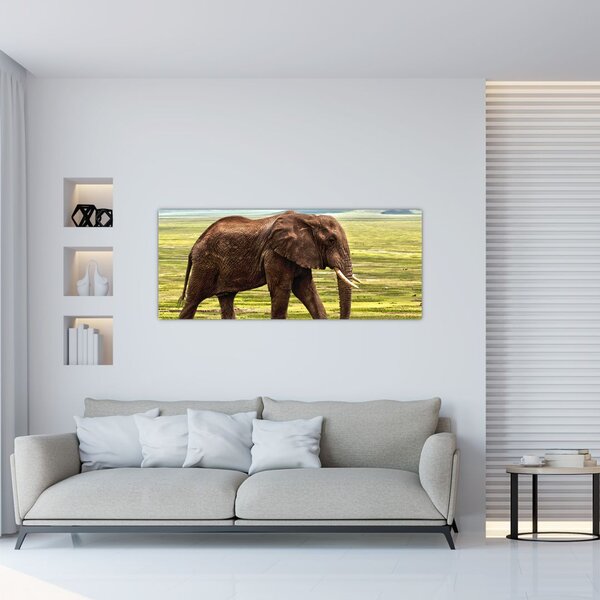 Slika slona (120x50 cm)