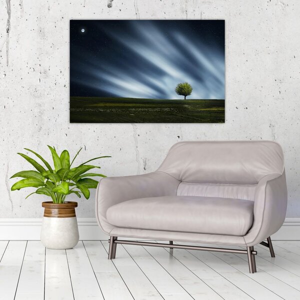 Slika polarne svijetlosti iznad polja vrijeska (90x60 cm)