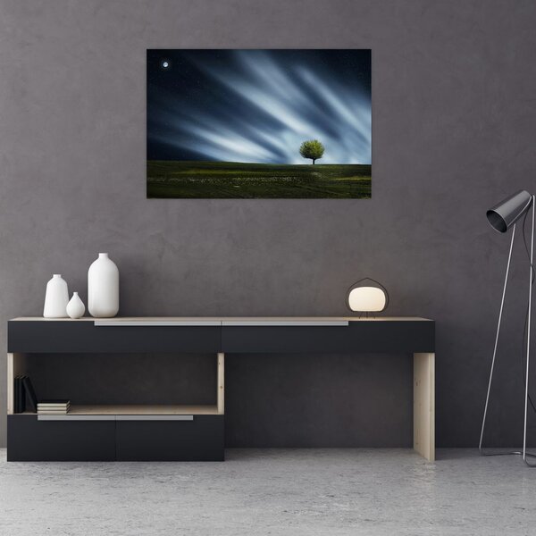 Slika polarne svijetlosti iznad polja vrijeska (90x60 cm)