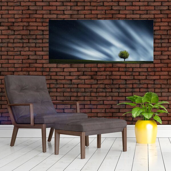 Slika polarne svijetlosti iznad polja vrijeska (120x50 cm)