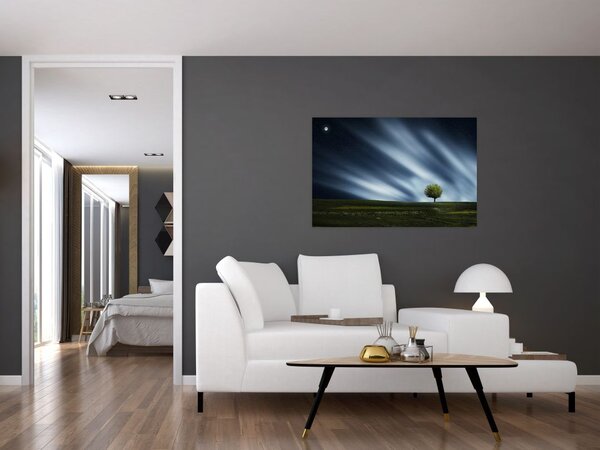 Slika polarne svijetlosti iznad polja vrijeska (90x60 cm)