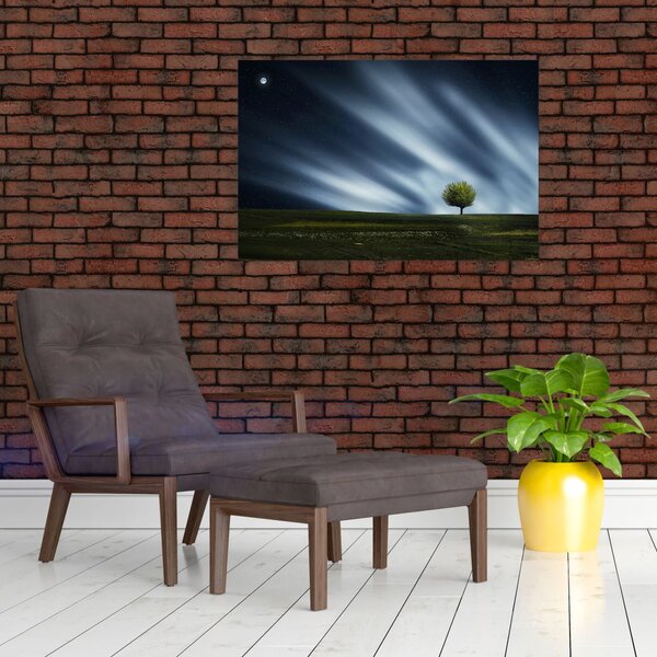 Slika polarne svijetlosti iznad polja vrijeska (90x60 cm)