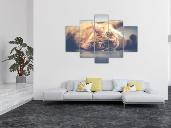 Slika mačke na podu (150x105 cm)