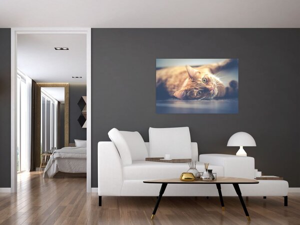 Slika mačke na podu (90x60 cm)