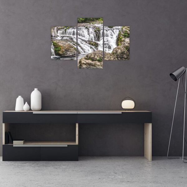 Slika - Brzaci na vodi (90x60 cm)
