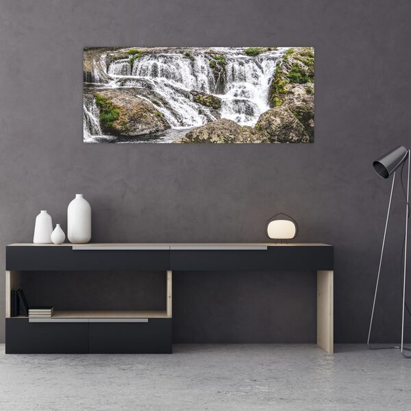 Slika - Brzaci na vodi (120x50 cm)