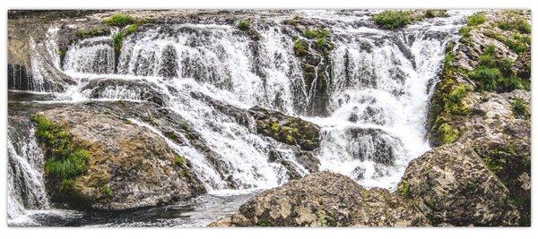 Slika - Brzaci na vodi (120x50 cm)