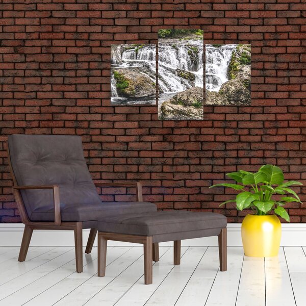 Slika - Brzaci na vodi (90x60 cm)