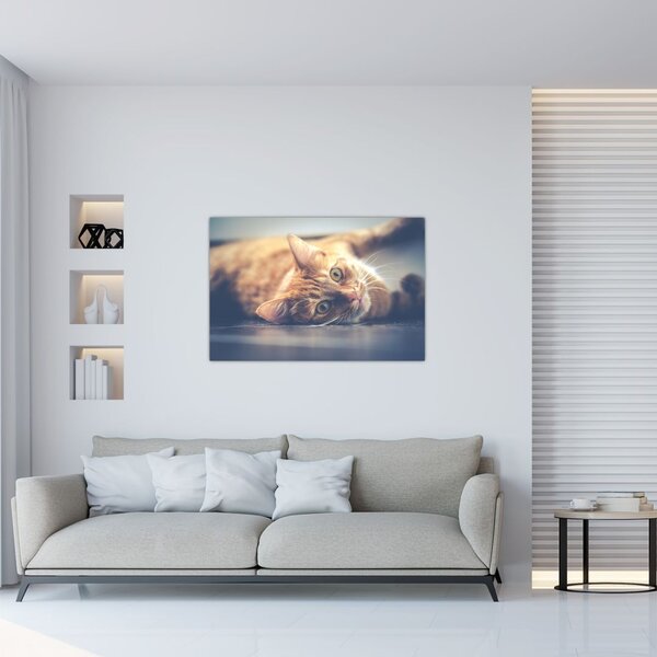 Slika mačke na podu (90x60 cm)