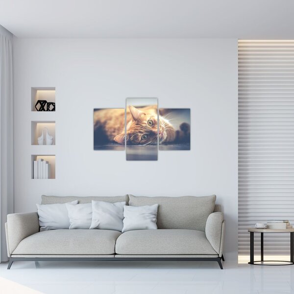 Slika mačke na podu (90x60 cm)