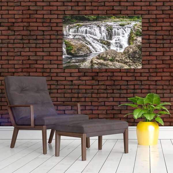Slika - Brzaci na vodi (90x60 cm)