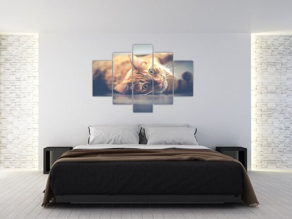 Slika mačke na podu (150x105 cm)