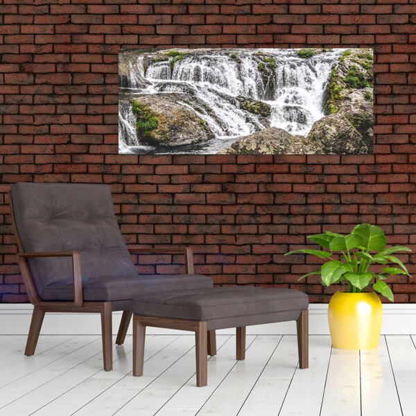 Slika - Brzaci na vodi (120x50 cm)