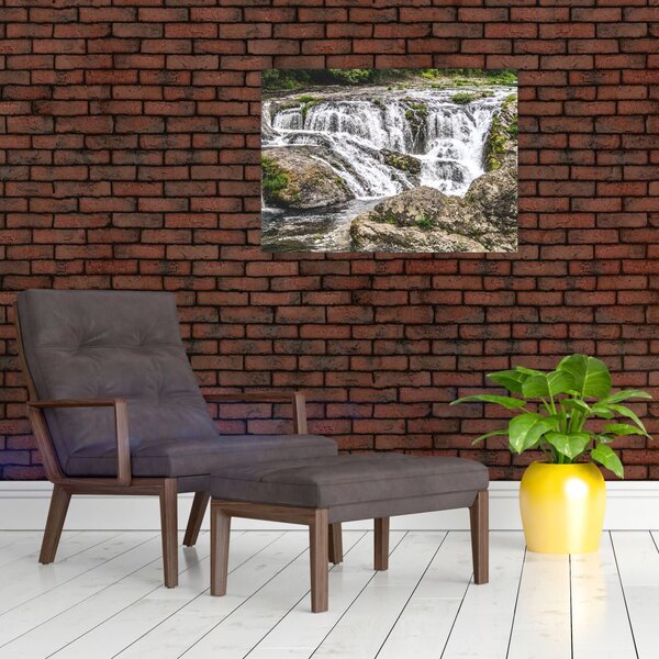 Slika - Brzaci na vodi (70x50 cm)