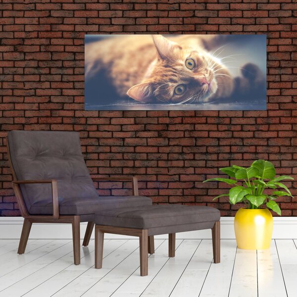 Slika mačke na podu (120x50 cm)
