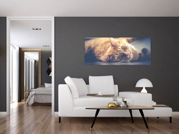 Slika mačke na podu (120x50 cm)