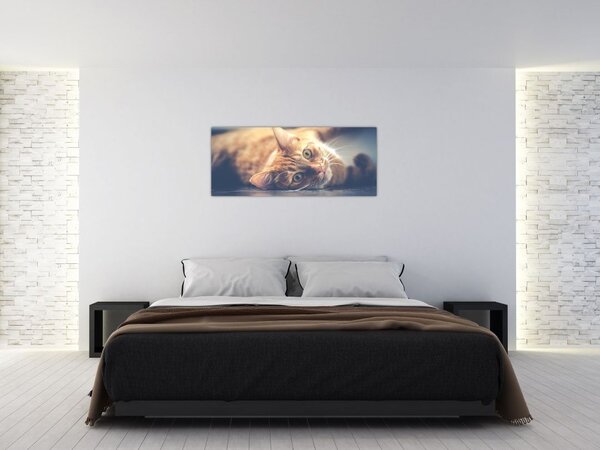 Slika mačke na podu (120x50 cm)