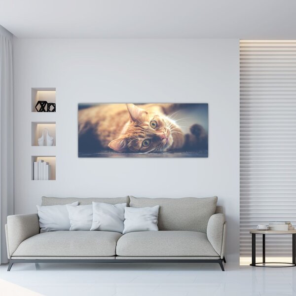Slika mačke na podu (120x50 cm)