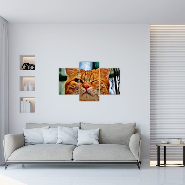 Slika mačke koja namiguje (90x60 cm)
