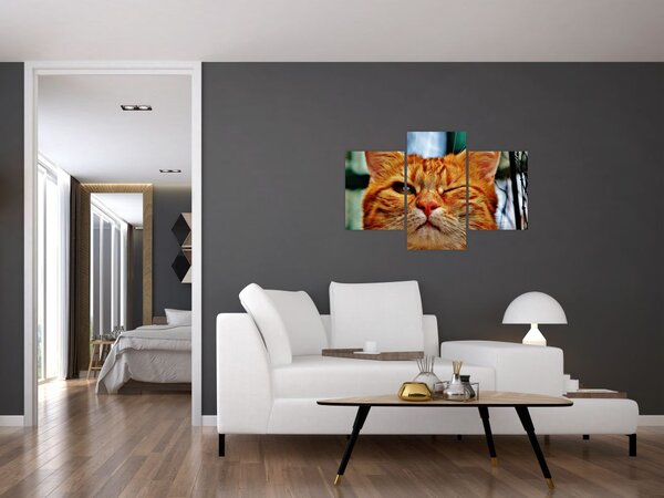 Slika mačke koja namiguje (90x60 cm)