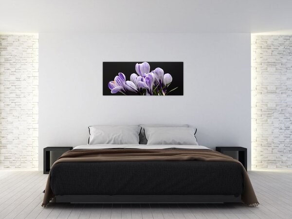 Slika - Ljubičasti krokusi (120x50 cm)