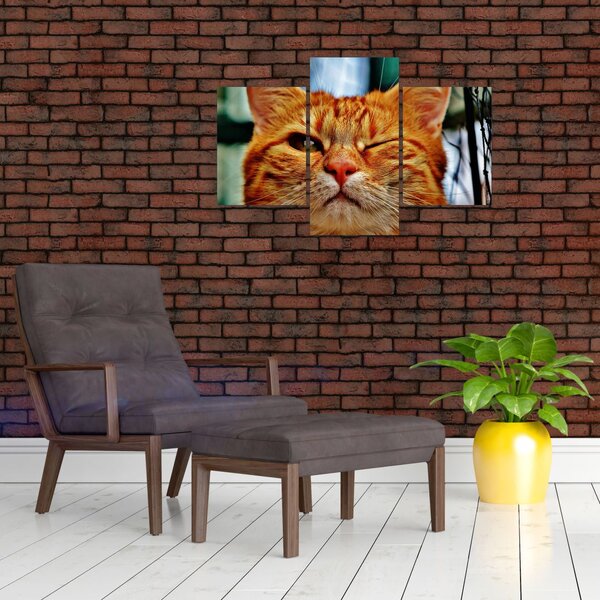 Slika mačke koja namiguje (90x60 cm)